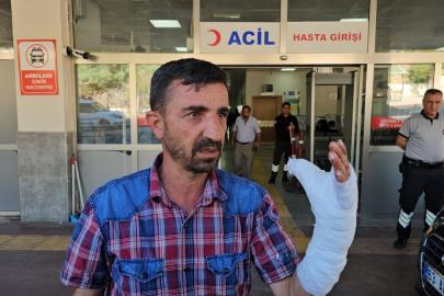 Şanlıurfa'da kurban kesimi sırasında 232 kişi yaralandı