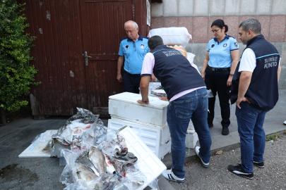 Antalya Otogarı'nda uygunsuz koşullarda taşınan balıklara el konuldu