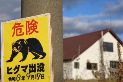 Japonya'da bir fabrikaya giren ayının pencereyi açıp kaçtığı düşünülüyor