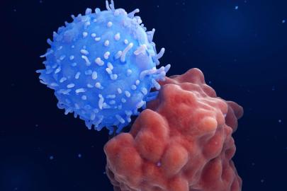 Kansere karşı dünyada bir ilk: Yeni mRNA aşısı geliştirildi
