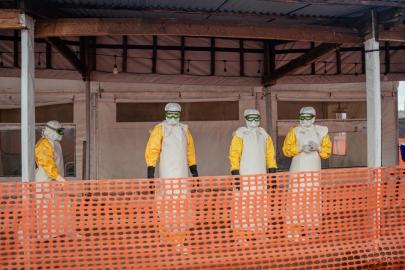 Afrika'da ebola virüsü alarmı sürüyor