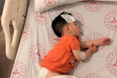 Şanlıurfa'daki köpek saldırısı olayına Mülkiye Müfettişi görevlendirildi