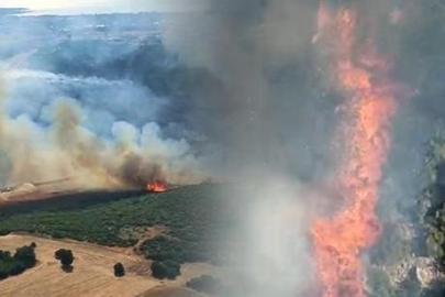 Bursa'da orman yangını! Havadan karadan müdahale