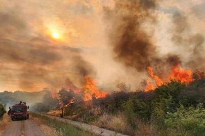 Çanakkale Valiliği'nden orman yangını alarmı! 3 gün süreyle yasaklandı