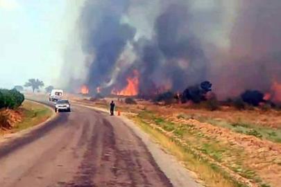 Edirne’de alevler ormana sıçradı! Havadan ve karadan müdahale sürüyor