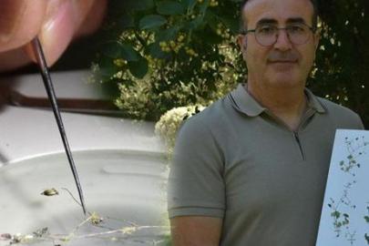 Kayaların arasında parlayan gizemli ışık! Bilim dünyasını heyecanlandıran keşif için kritik uyarı