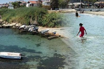 Marmara Denizi'nde alarm! Uzmanından korkutan uyarı: 3 yıldır sayıları arttı