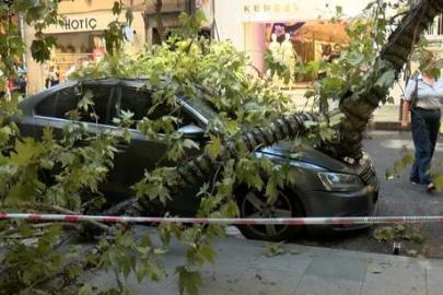 Nişantaşı’nda çınar ağacı taksinin üzerine devrildi! Teşvikiye Caddesi trafiğe kapandı