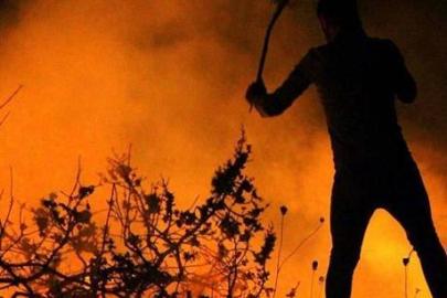Orman yangınlarında 43 şüpheli tespit edildi: 11 kişi tutuklandı