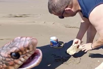 Plajda panik! Denizde yüzen yılan kumsala çıktı vatandaşlar şoke oldu