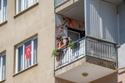 Gebze'de en güzel balkon seçilecek! Yaklaşık 800 sardunya yerleştirildi: Kazanan ödülü alacak
