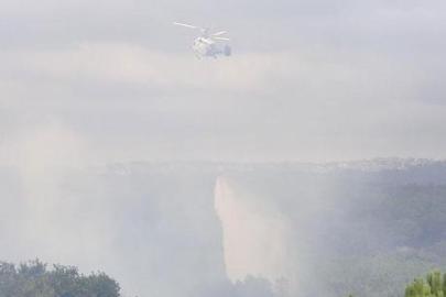 Son dakika... İstanbul'da orman yangını! Alevlere havadan müdahale başladı